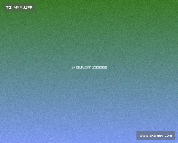 SN战队 LPL赛区 S10全球总决赛再战征程