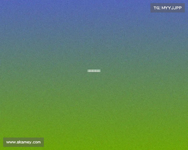 大学电竞比赛流程